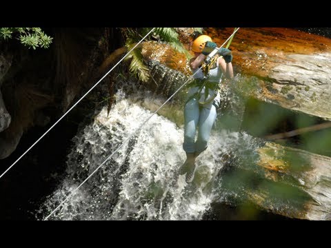 Zipline Tours in the Tsitsikamma forest, South Africa